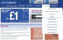 making money from home, domain names