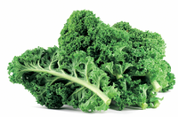 Crops in Pots, Kale