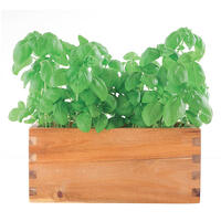 Crops in Pots Window Box Wood