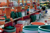 Crops in Pots Plastic