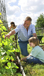 expert advice, grow your own vegetables, 