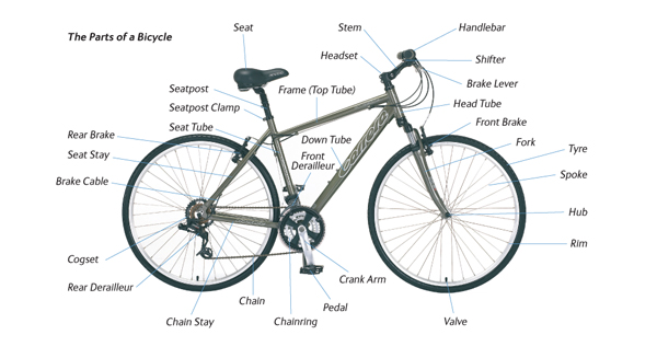 Cycling Made Easy: Cleaning and Lubricating