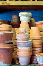 Crops in Pots Terracotta