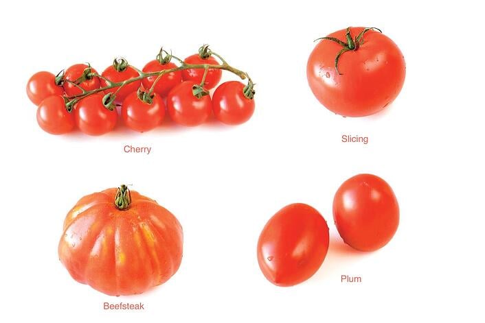 Crops_in_pots_tomato_types.jpg