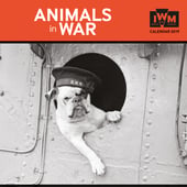FT2019-11-IWM Animals in War-front