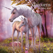 FT2019-84-Unicorns-front