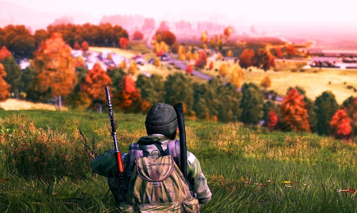 dayzwide.jpg