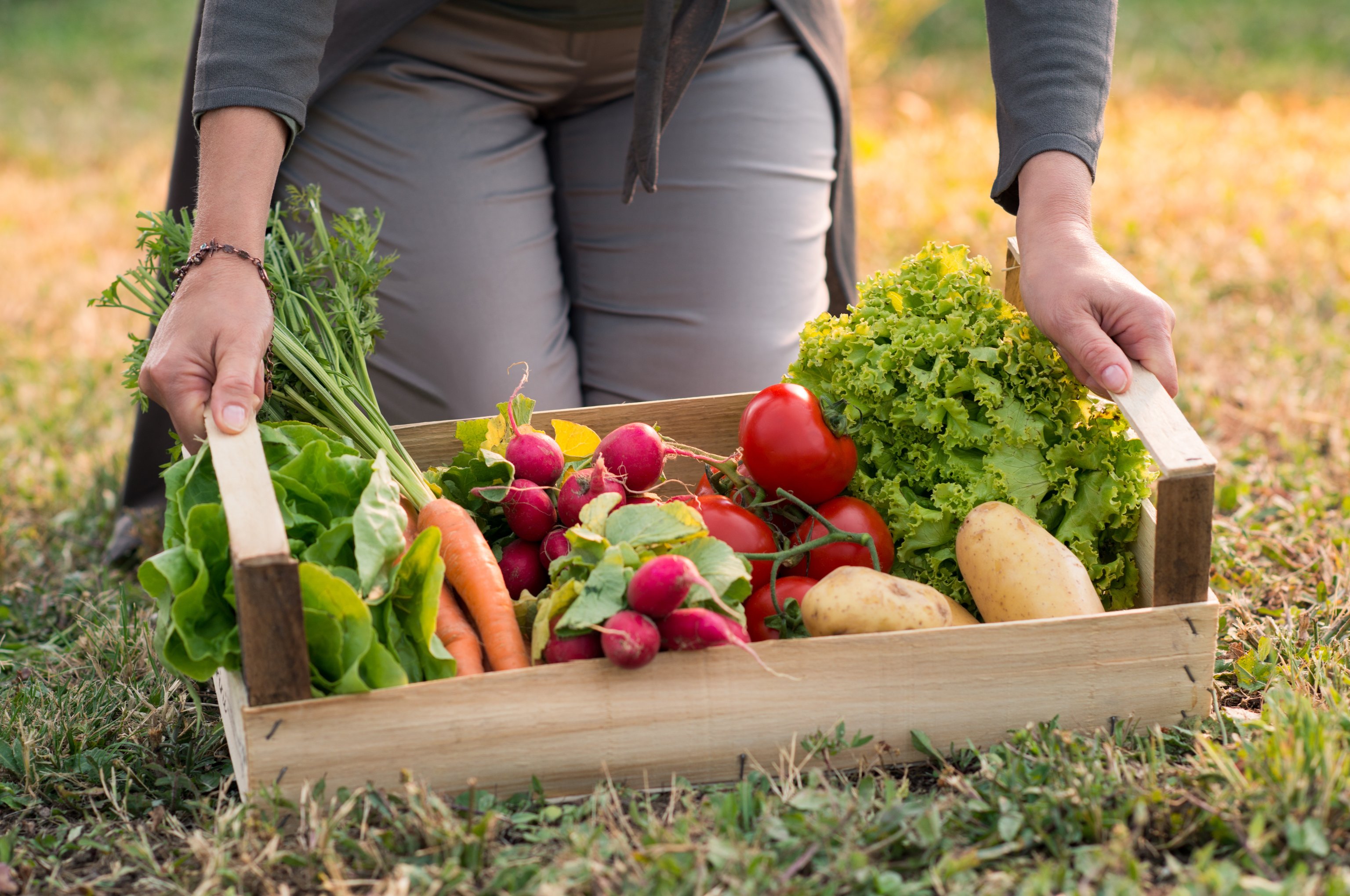 Smallholding Smallholdings: What are they and where can they lead?