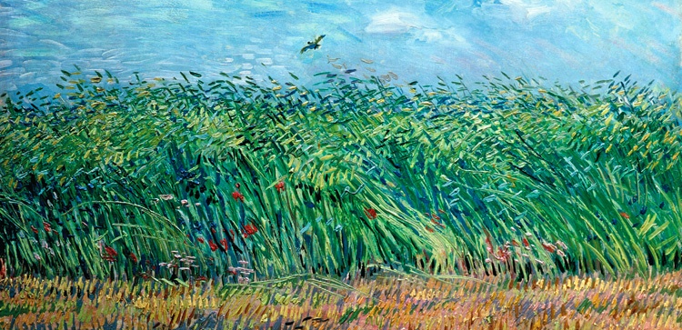 vincent van gogh nature